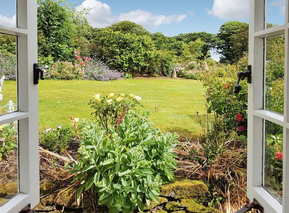 Garden at Condurrow Cottage in Manaccan, near Helston, Cornwall
