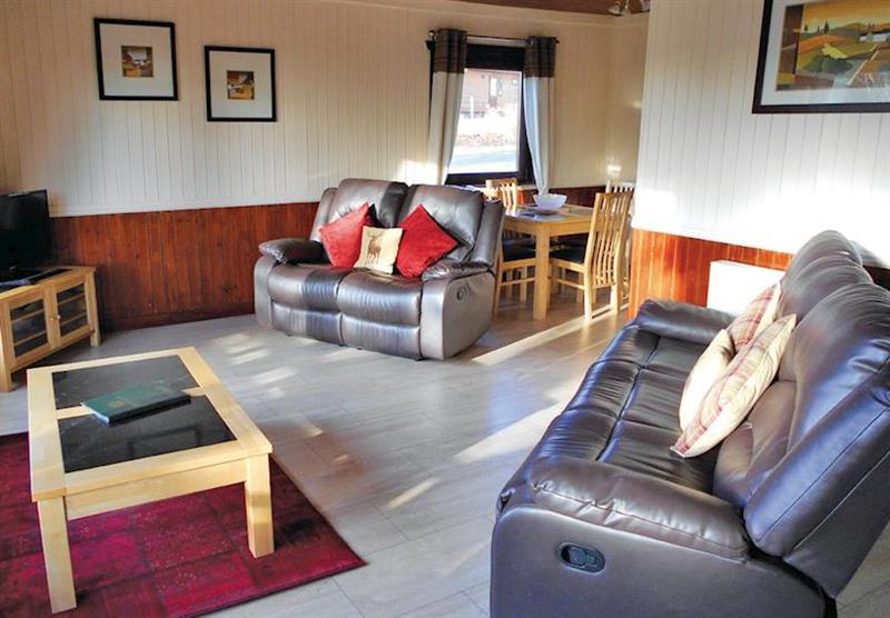 Typical Bluebell Lodge at Conifer Lodges in Newton Stewart, Dumfries & Galloway