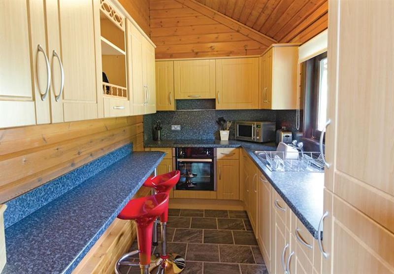 Typical Lady Galloway Lodge Plus (photo number 8) at Conifer Lodges in Newton Stewart, Dumfries & Galloway