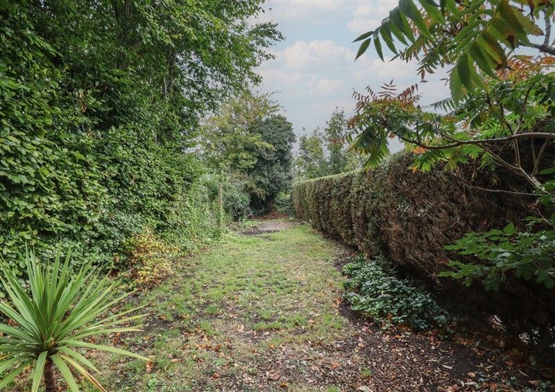 Enjoy the garden at Conisholme, North Thoresby