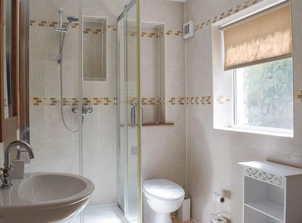 Shower room at Conway Cottage in Pembroke, Pembrokeshire, Dyfed