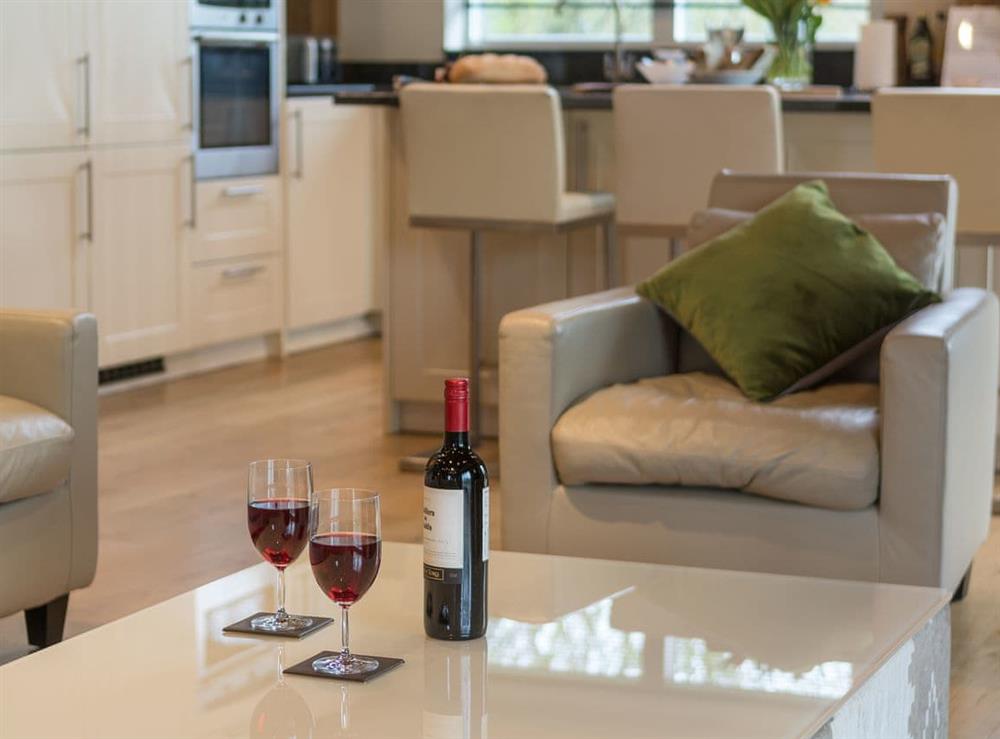 Lounge at Coot Lodge in Somerford Keynes, near Cirencester, Gloucestershire