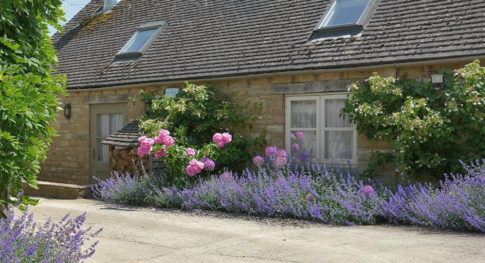 Welcome to Cope Cottage, Bruern, Chipping Norton at Cope Cottage, Bruern, near Chipping Norton