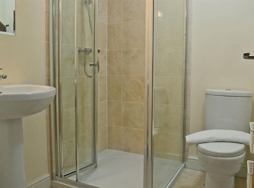 En-suite shower room at Birch Lodge, 