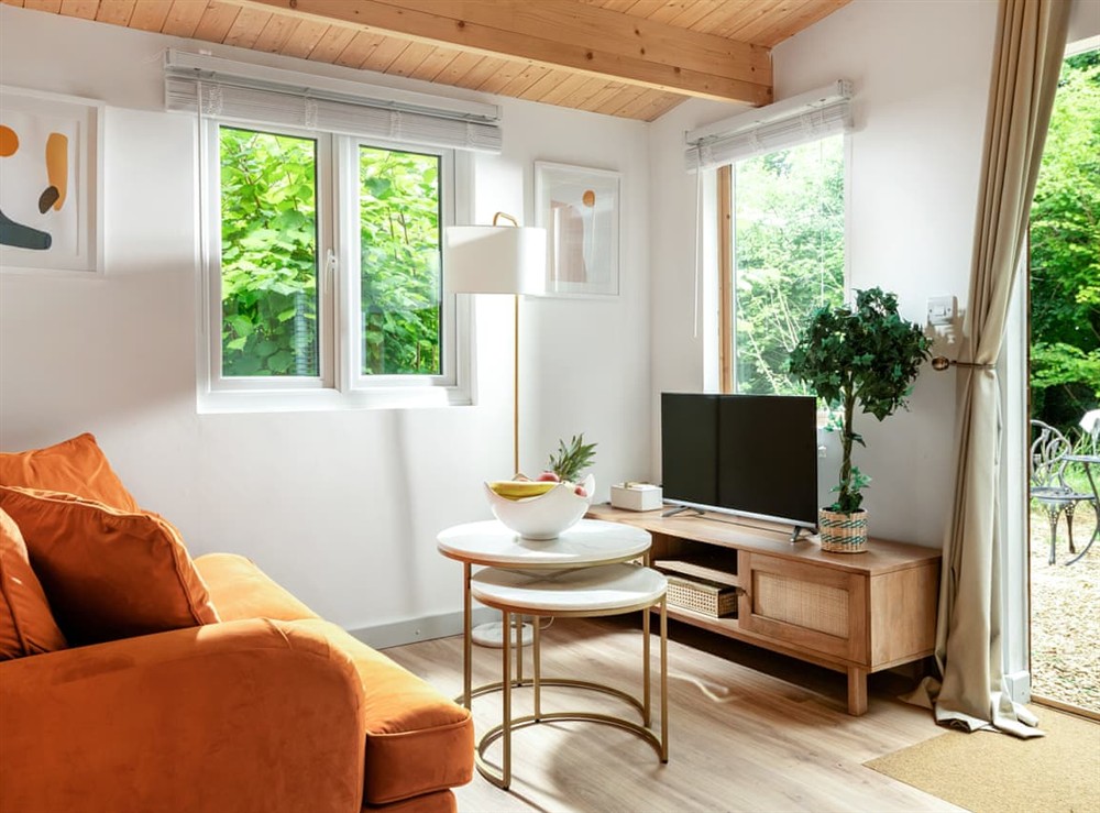 Living area at Copperbeech in Blandford Forum, Dorset
