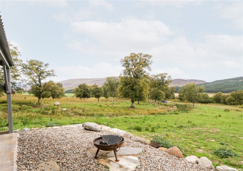 Rural landscape