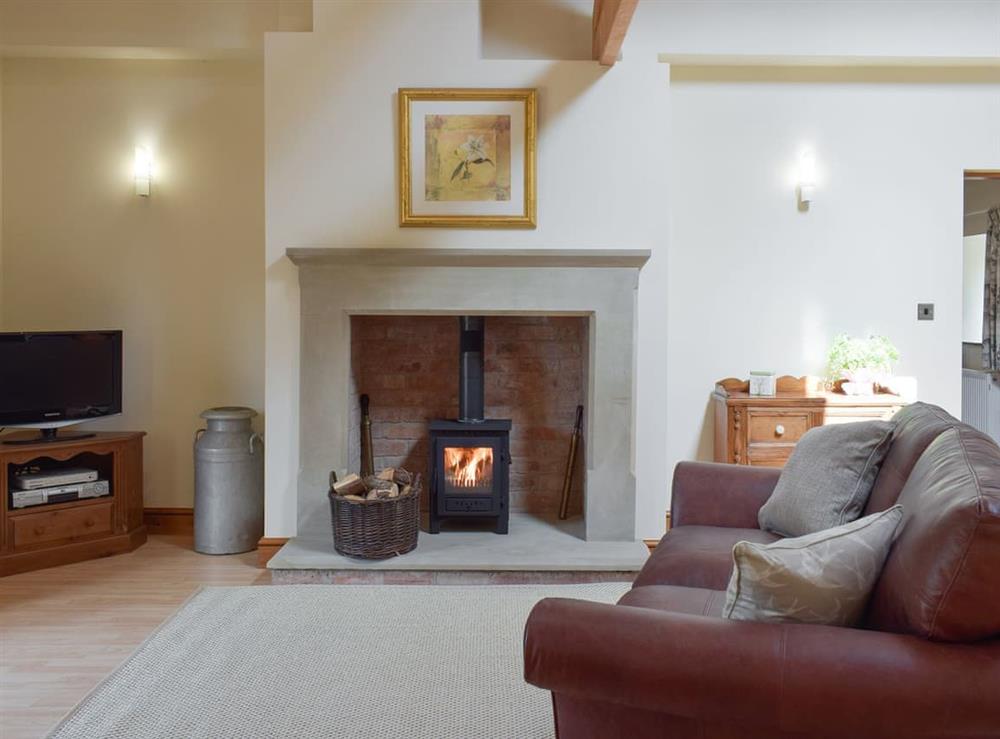 Welcoming living area with wood burner at Woodpecker Cottage, 
