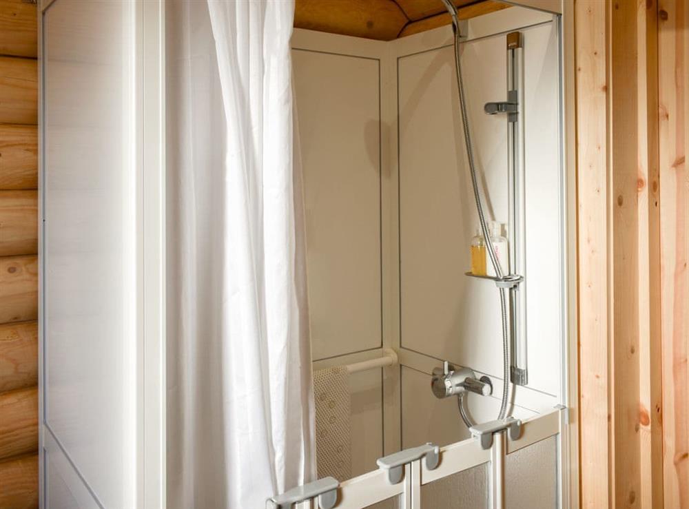 Shower room with walk-in shower, includes fold away seat and space suitable for a wheelchair to enter (photo 2) at Coria Lodge in Ebchester, Northumberland