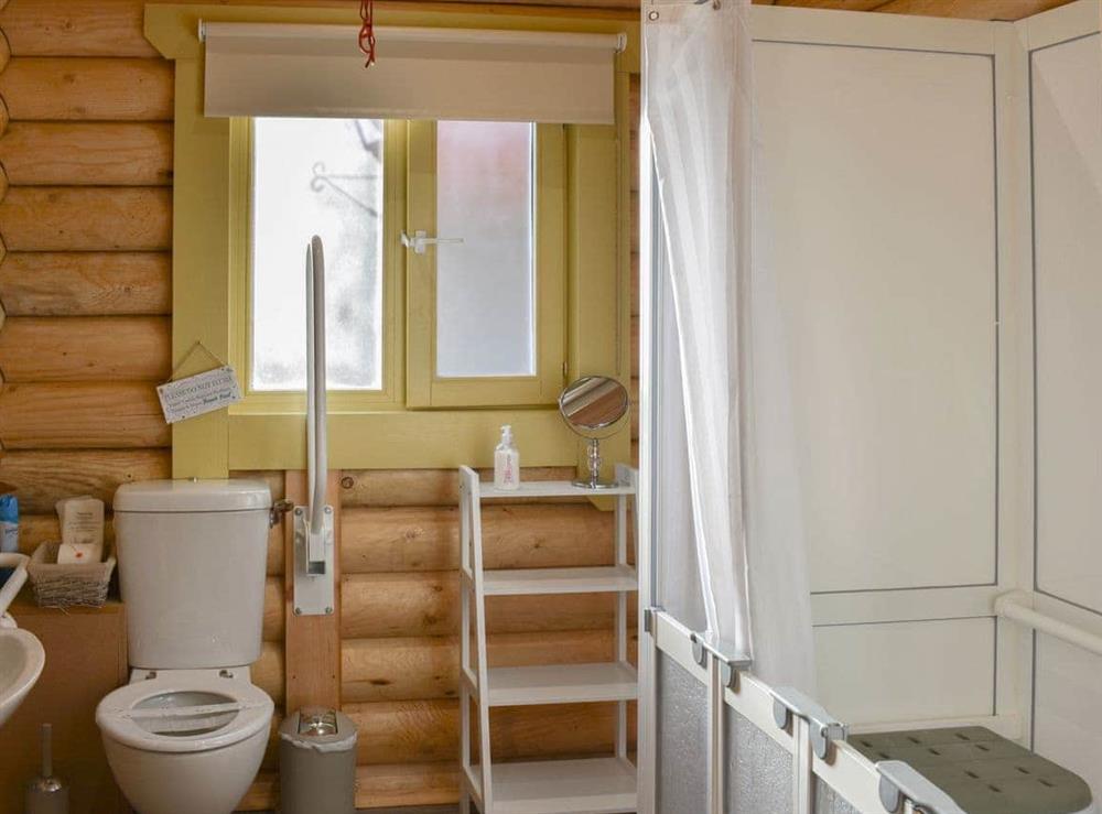 Shower room with walk-in shower, includes fold away seat and space suitable for a wheelchair to enter at Coria Lodge in Ebchester, Northumberland