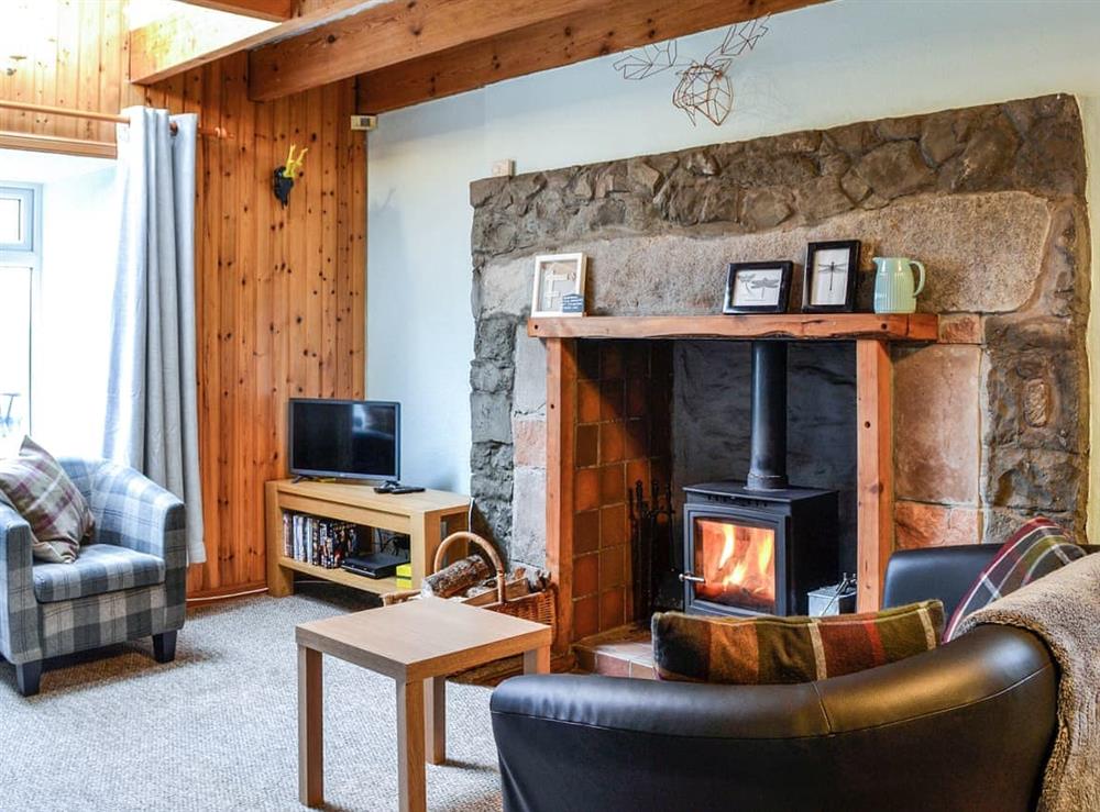 Living room at Corlae Cottage in Castle Douglas, Kirkcudbrightshire