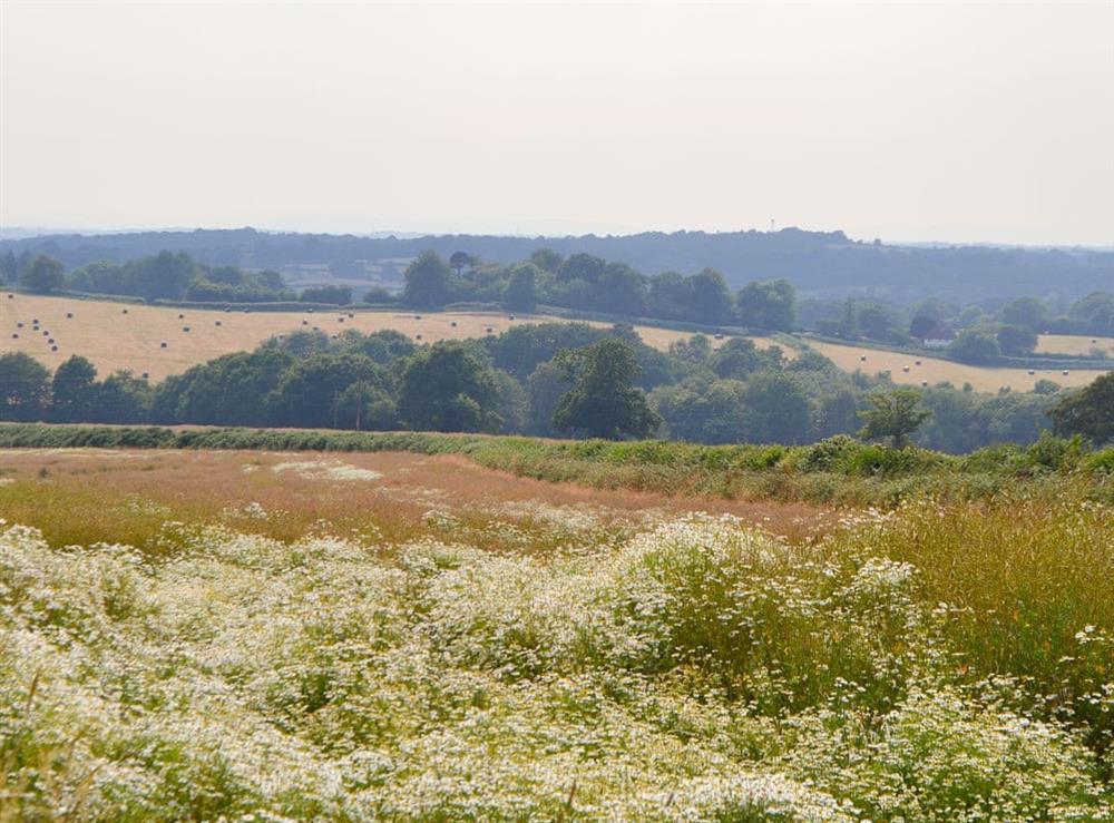 Surrounding view at Cornbrash Farm Cottage in Earlsdown, near Heathfield, Sussex, East Sussex