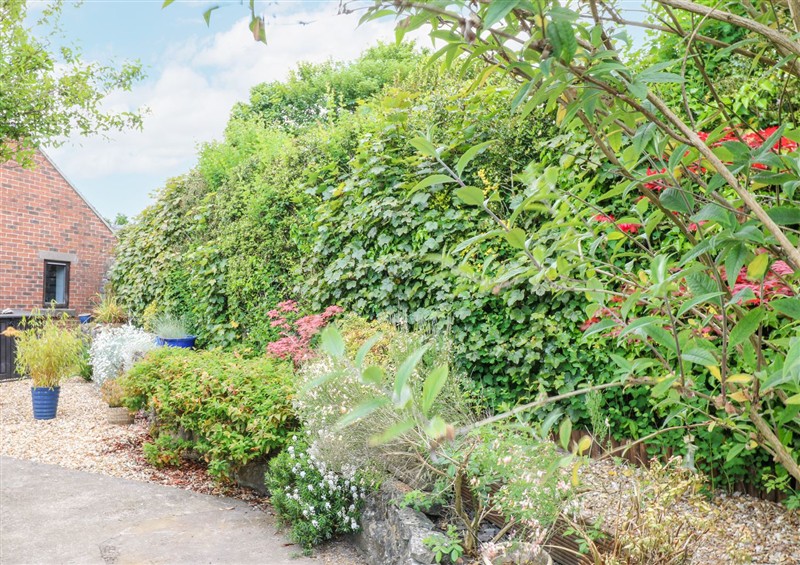The garden at Corner Cottage, Ashbourne
