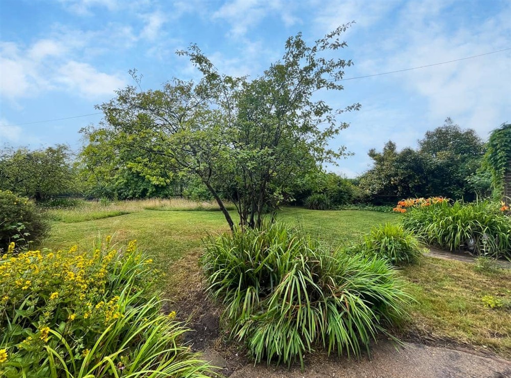 Garden at Corner House in Haywards Heath, near Uckfield, East Sussex