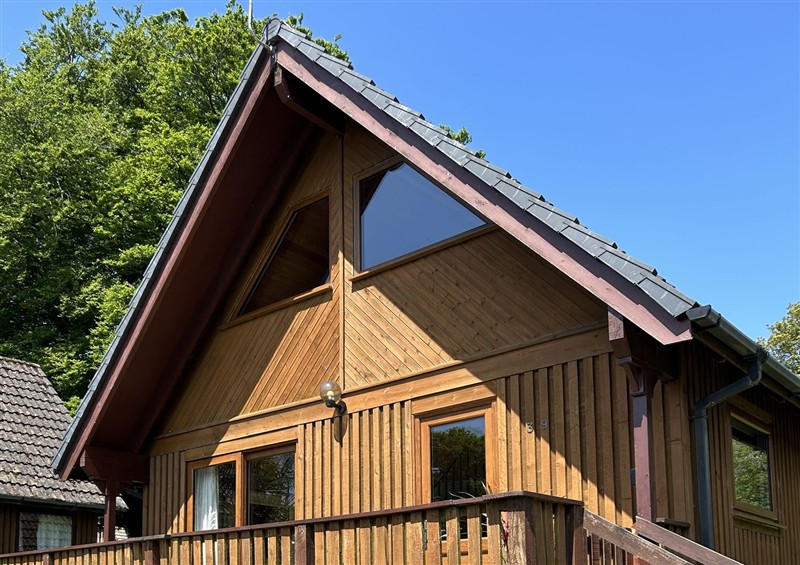 Outside Cornish Woodland Retreat at Cornish Woodland Retreat, Near St Tudy