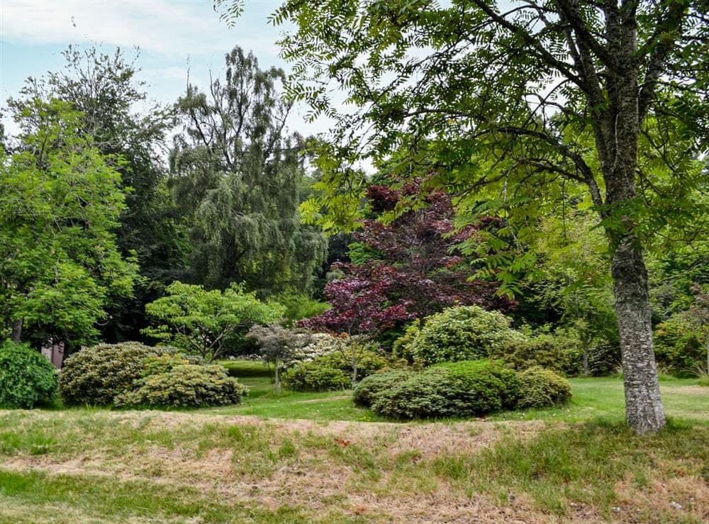 Garden and grounds (photo 2) at Corrennie School Cottage in Sauchen, near Inverurie, Aberdeenshire