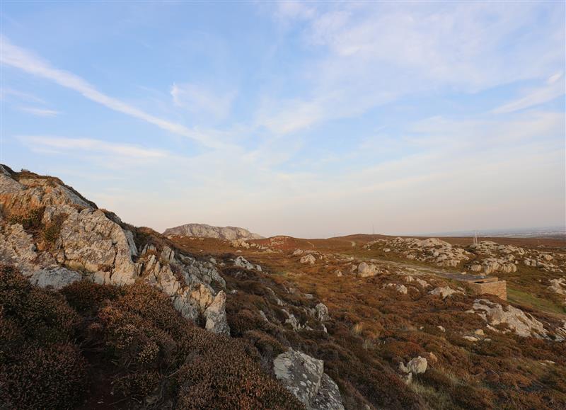 Rural landscape