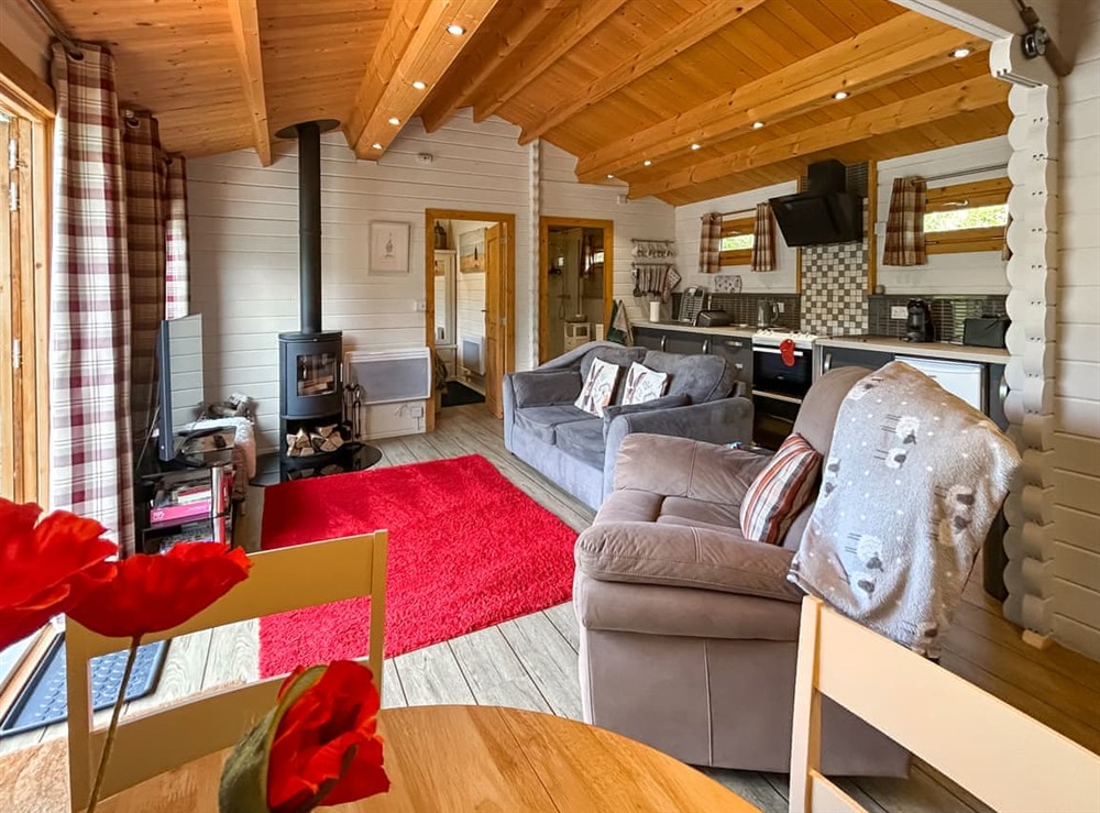 Open plan living space at Corrie Willow Lodge in Alverstone, near Sandown, Isle of Wight