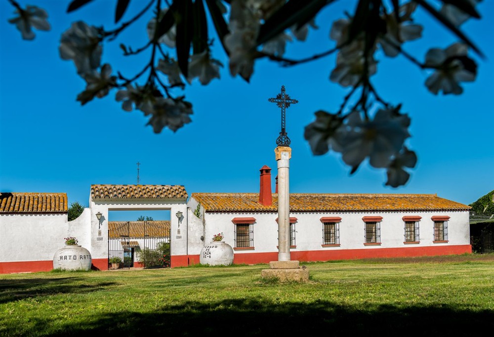 Cortijo Rocio