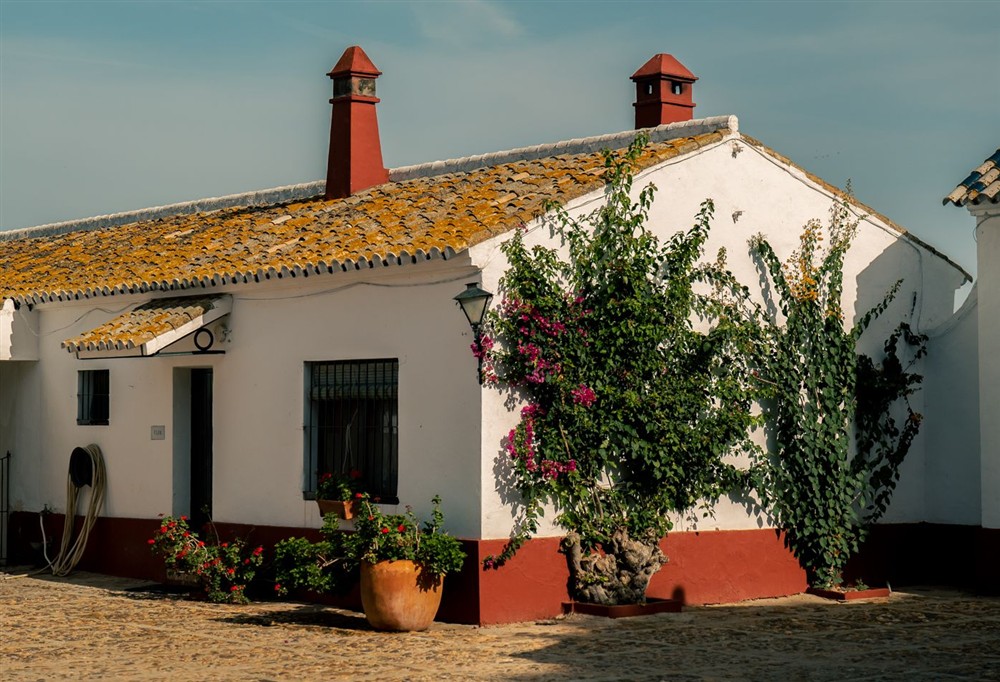 Cortijo Rocio