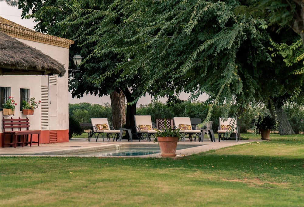 Cortijo Rocio