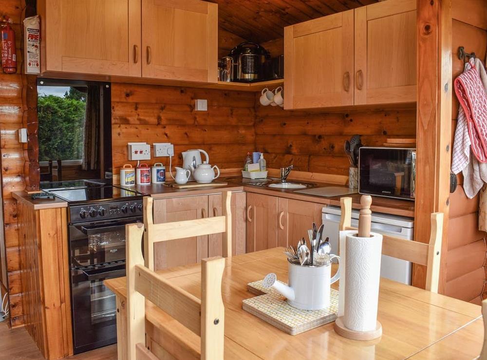 Open plan living space (photo 4) at Cosy Cabin in Trawsfynydd, near Harlech, Gwynedd