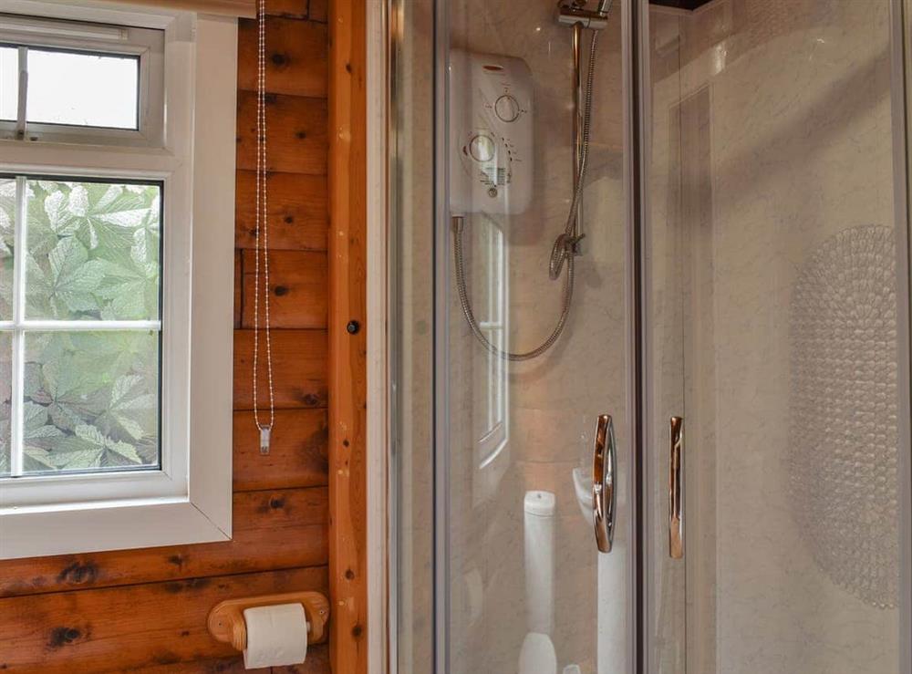 Shower room (photo 2) at Cosy Cabin in Trawsfynydd, near Harlech, Gwynedd