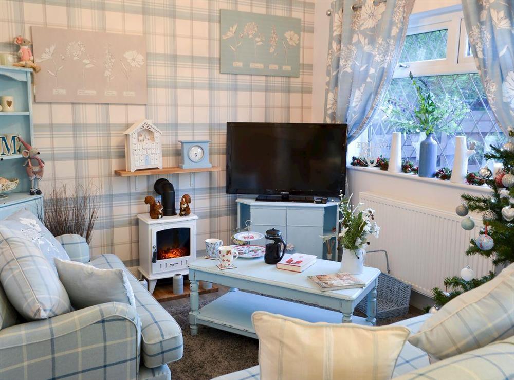 Relaxing living area at Cosy Cottage at the Conifers in Amble, Northumberland