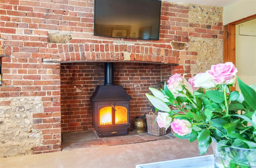 The wood burning stove in the sitting room at Cosy Cottage, Dorchester