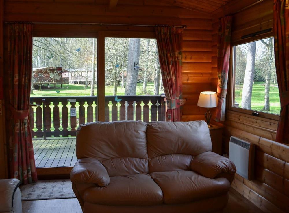Living area (photo 2) at Cosy Lodge in Kenwick, near Louth, Lincolnshire