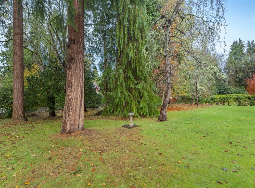 Garden at Cosy Ness in Inverness, Inverness-Shire