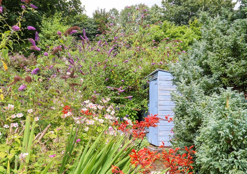 Enjoy the garden (photo 4) at Cosy Nook, North Molton