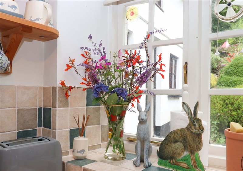 Kitchen at Cosy Nook, North Molton