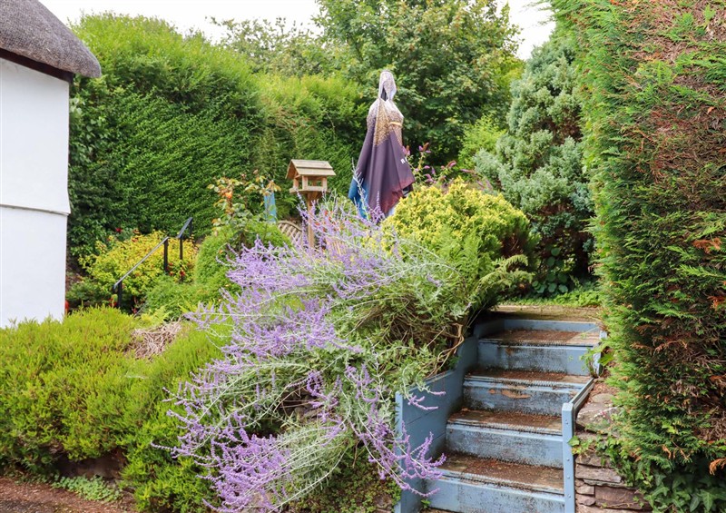 The garden at Cosy Nook, North Molton