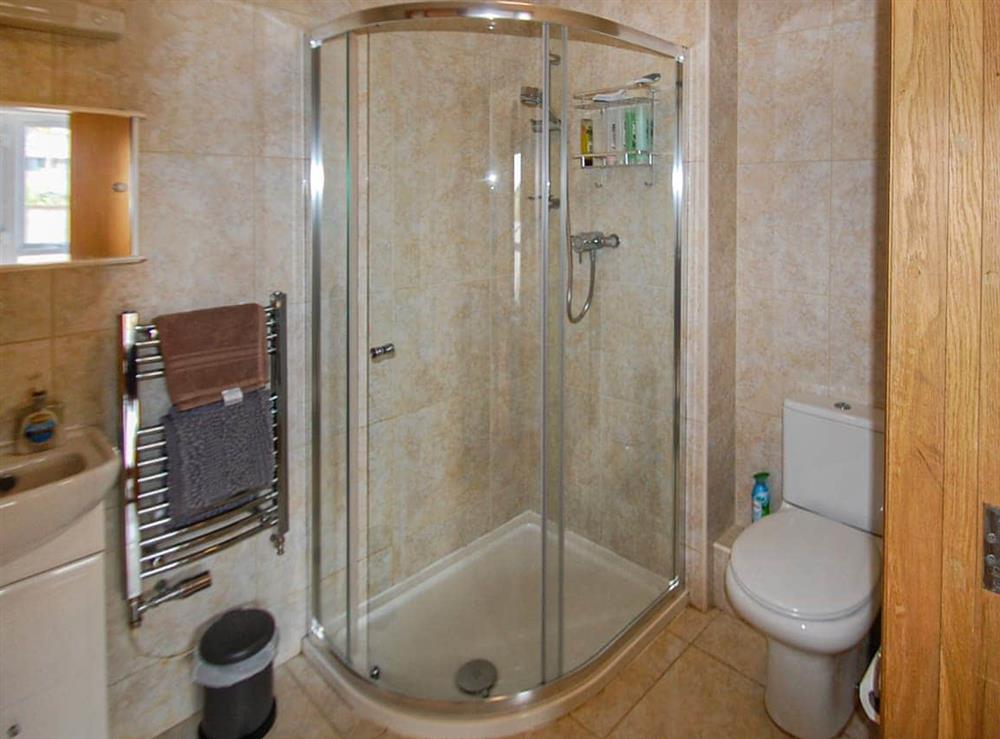 Shower room at Cosy Waterside View in Pennar, Dyfed