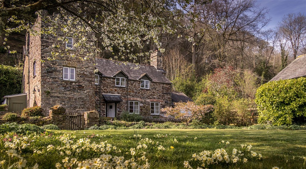 The exterior of Malt House in spring, with blossom on the trees and flowers blooming in the grass of the garden, Cornwall at Cotehele Engine Cottage in Calstock, Cornwall