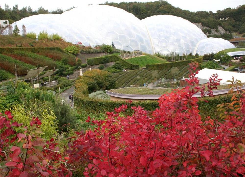 Biomes at Eden Project at Cotna Cottage in Gorran