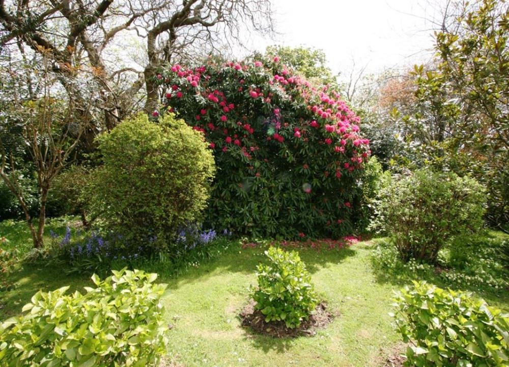 Gardens in springtime at Cotna Cottage in Gorran