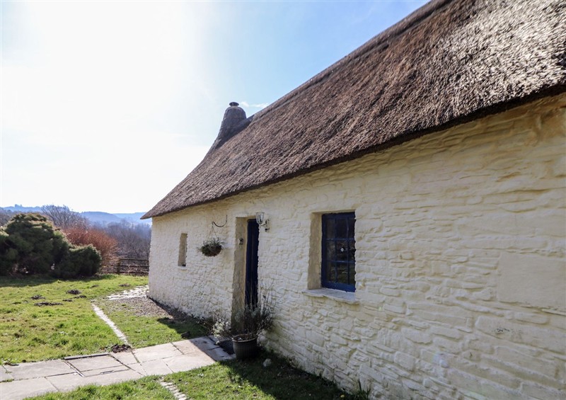 Outside at Cottage, Llanybydder