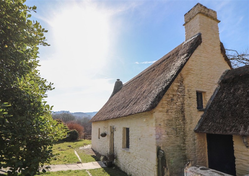 The setting at Cottage, Llanybydder