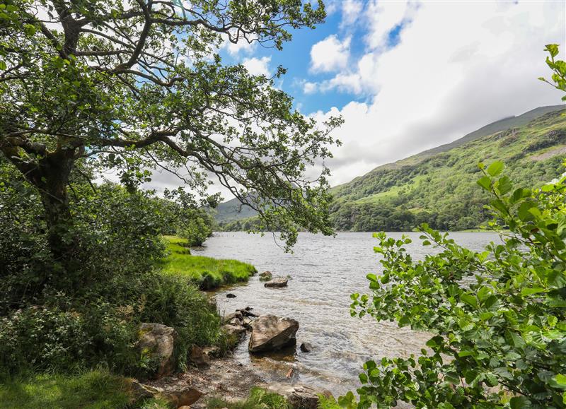 The area around Cottage on the Green