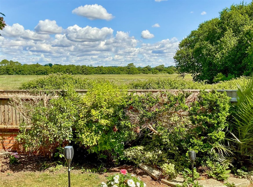 View at Cottage in Poole, Dorset