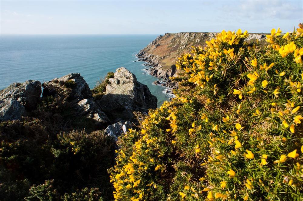 Stunning views from the South West Coast Path at Cottage View in Hope Cove, Nr Kingsbridge