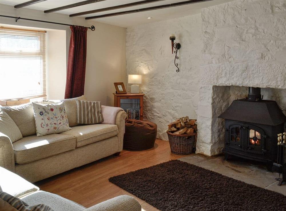 Living room at Cottonmill Cottage in Newton Stewart, Wigtownshire