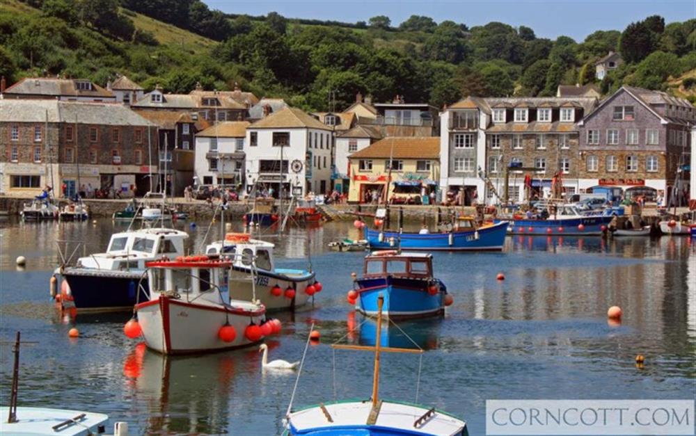 Mevagissey at Cottontails in Bodmin