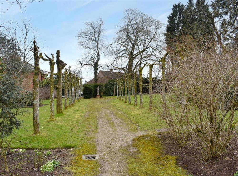 Garden and grounds at Country House in Balcombe, West Sussex