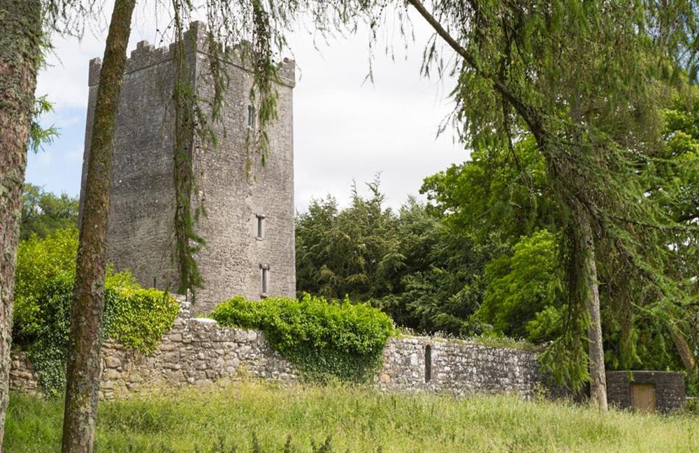County Meath Castle