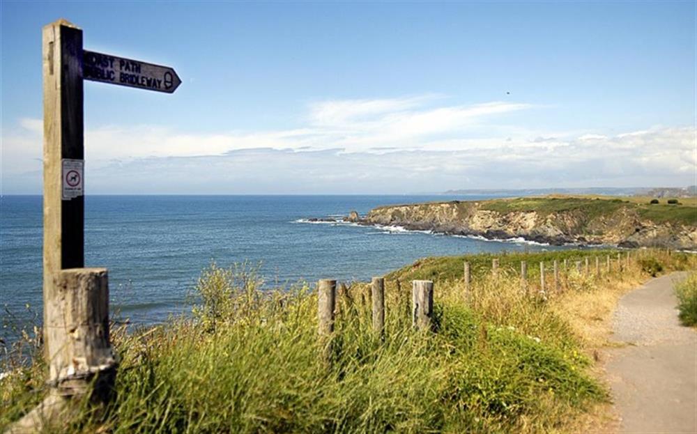 There are some great coastal walks not far from the cottage. at Court Barton Cottage No. 1 in South Huish