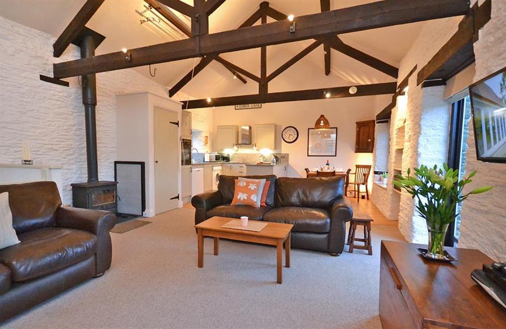 Stunning living area with high ceilings and stylish decor at Court Barton Cottage No. 10, South Huish