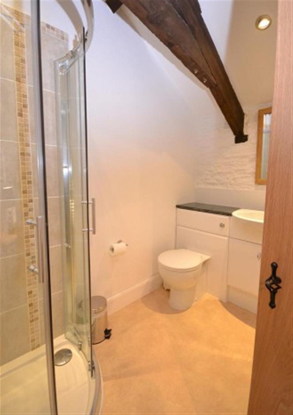 The double room en suite shower room at Court Barton Cottage No. 2 in South Huish