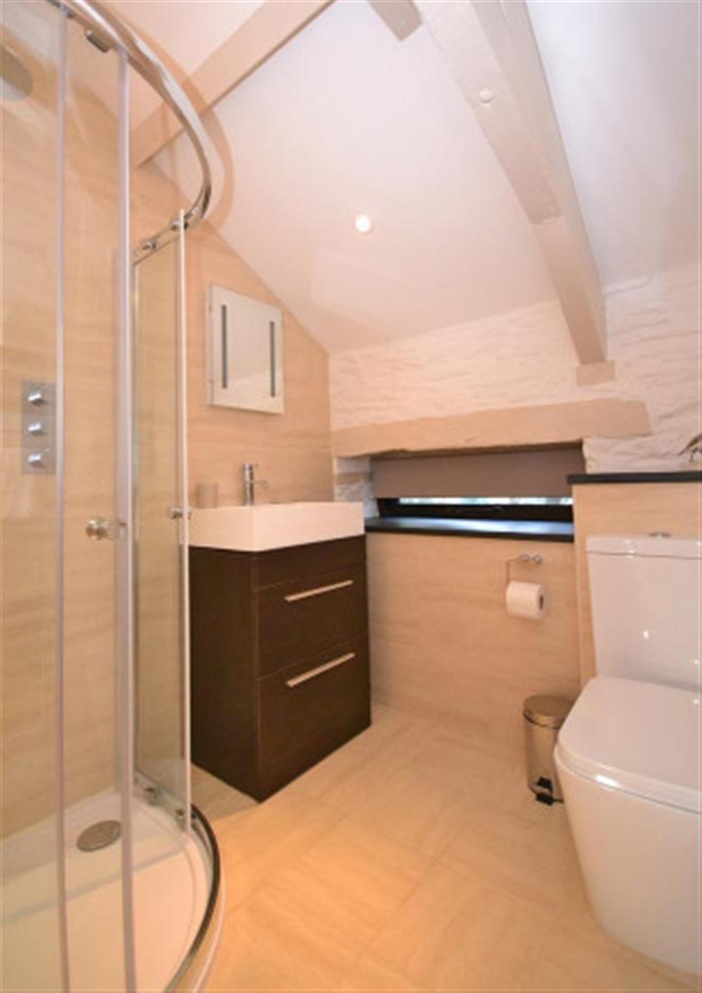 The master en suite shower room. at Court Barton Cottage No. 7 in South Huish